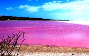 розовое озеро Хиллер Австралия