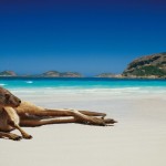 Австралия — знаменитый остров кенгуру!