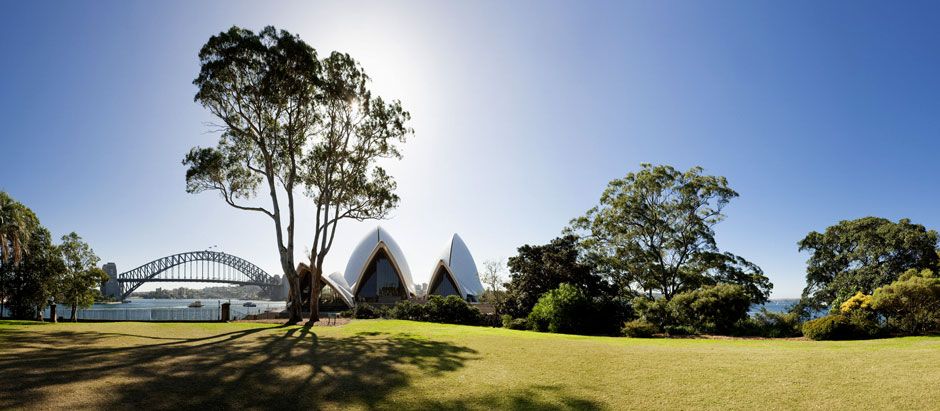 Королевский ботанический сад в Сиднее